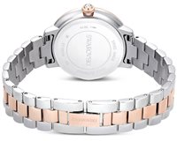 Watch Swarovski Woman in Steel 5715028 - 5715028